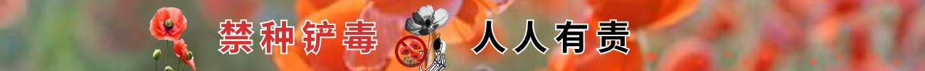 铲毒2.png