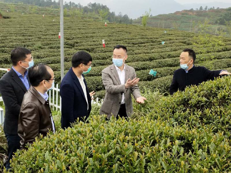 蔡龙群局长赴安溪县调研生猪生产,人居环境整治.