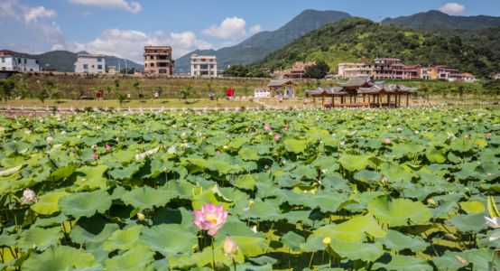 我市安溪县城厢镇经兜村被认定为全国生态文化村
