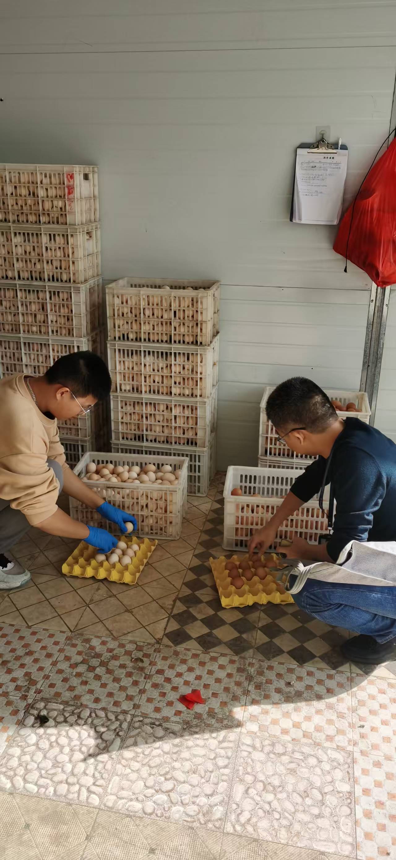 微信图片_20251209085458_62